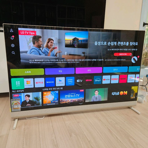 LG전자 오브제컬렉션 포제 올레드 evo 48LX1TK