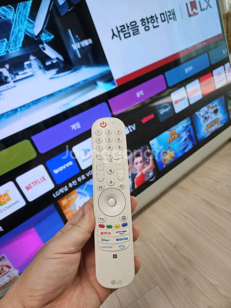 LG전자 오브제컬렉션 포제 올레드 evo 48LX1TK--3