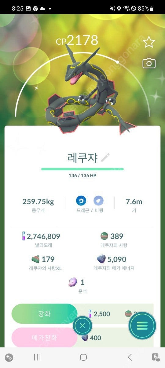 포켓몬고 아머드뮤츠(반짝이)--2