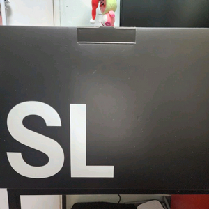 라이카 sl2-s(24-70 kit