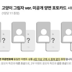 qwer 미공포 포카 고양이 그림자 한세트 양도