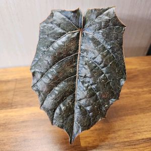 파이퍼 베트맨
