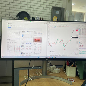 LG 34인치 울트라 와이드 모니터(화이트)