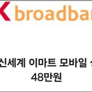 신세계 이마트 모바일 상품권 48만원권