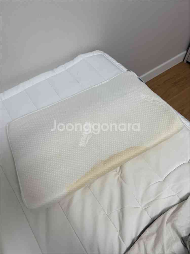 [S] 템퍼 오리지널 베개--1