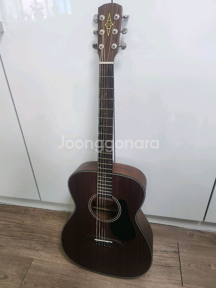 알바레즈 기타 RF20SM--0