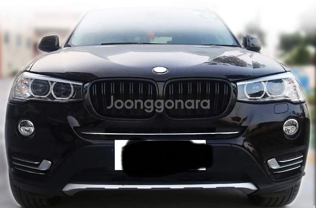 BMW X3 X4 F25 F26 키드니 그릴--2