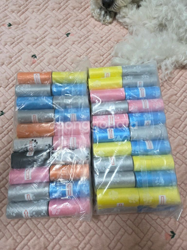 강아지 배변봉투--2