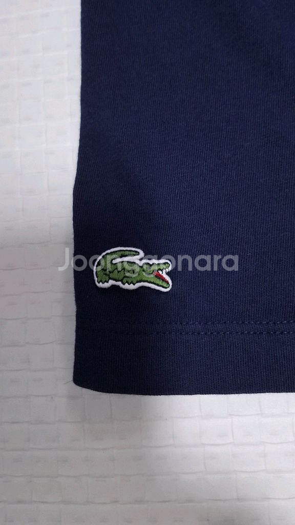 라코스테 반팔티 FR6/XL 레귤러핏--5