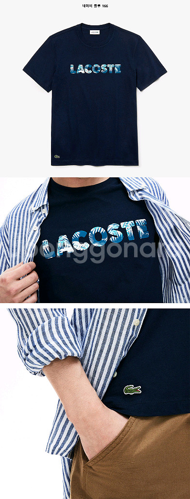 라코스테 반팔티 FR6/XL 레귤러핏--8