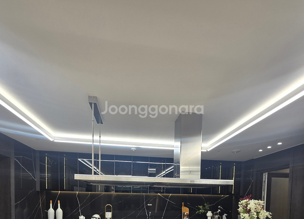 엘리카 문 아일랜드 후드 판매합니다!--4
