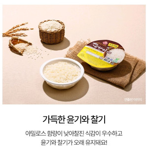 수향미 햇반 210g 36개
