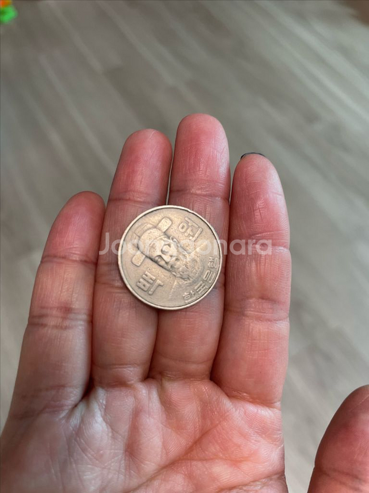 1982년 100원동전--1