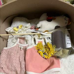 고양이 용품 일괄