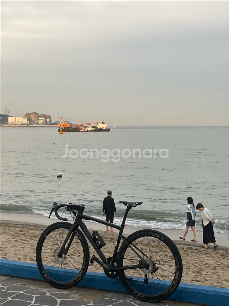 스페셜라이즈드 타막 콤프--0