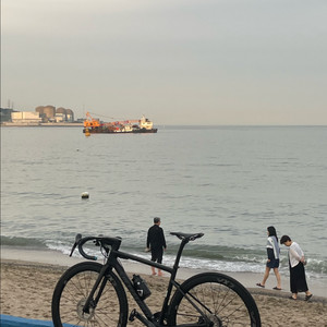 스페셜라이즈드 타막 콤프