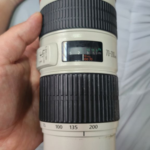 캐논 EF 70-200mm F4 L 렌즈(애기백통)