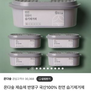 온다숲 천연 정화석 습기제거제 5개