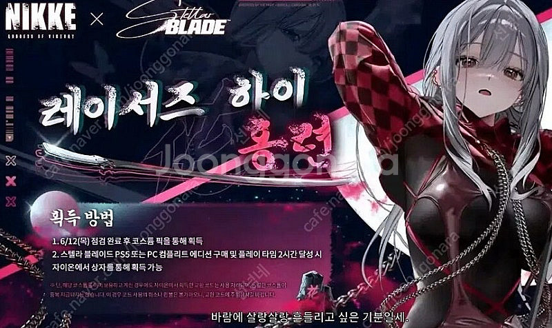 니케스킨 코드--0