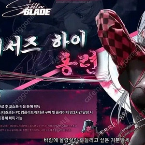 니케스킨 코드