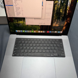 맥북 프로 m1pro 16in 16gb 512 영문
