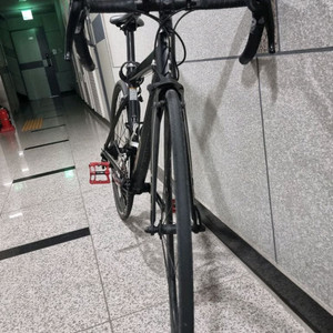 GT 로드자전거 한정판 급처