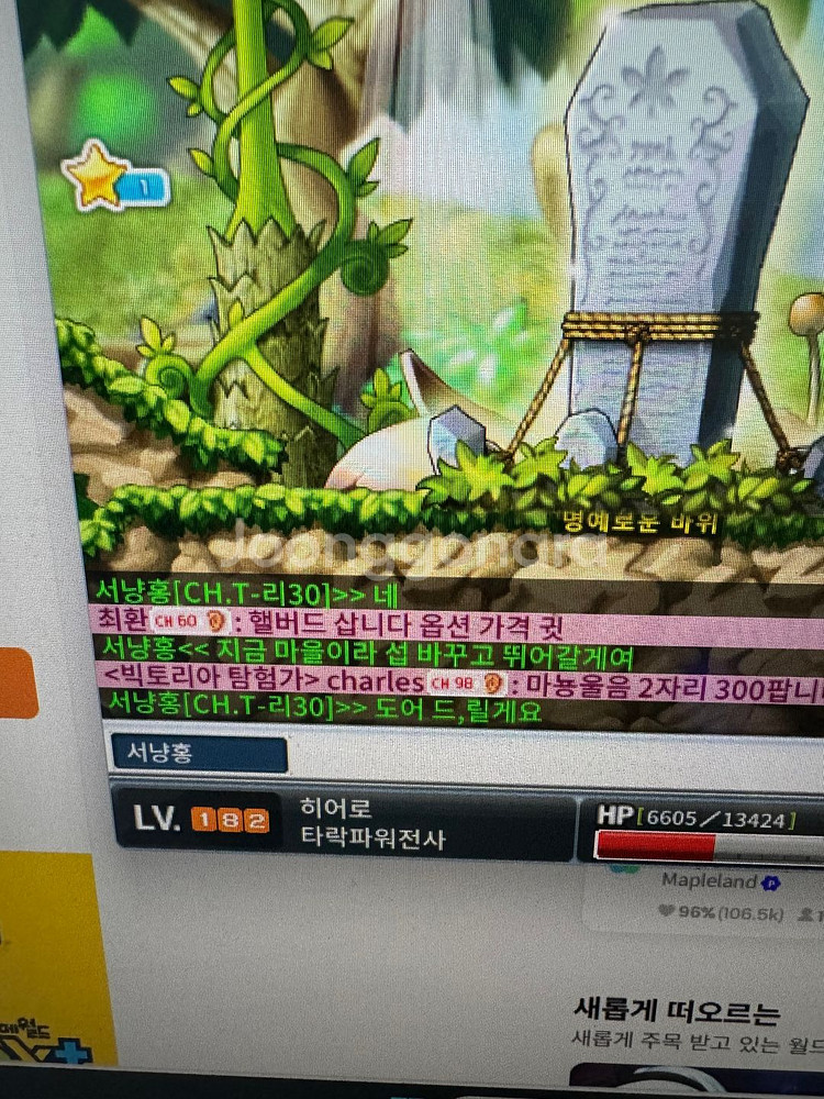 메랜 아시안느 닉 가지고 계신분 찾습니다--1