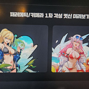 던파 이벤트 여름비키니 마우스패드