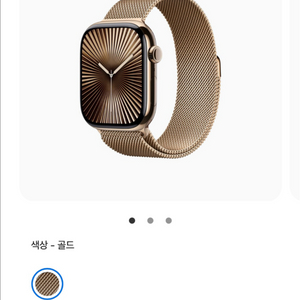 애플워치10 46mm 골드 티타늄
