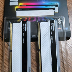 에센코어 클레브 CRAS XR5 RGB 32GBx2