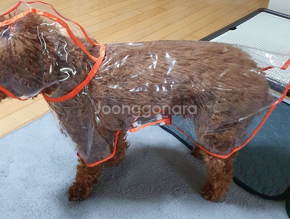 7 - 9 kg 강아지우비 애견옷--0