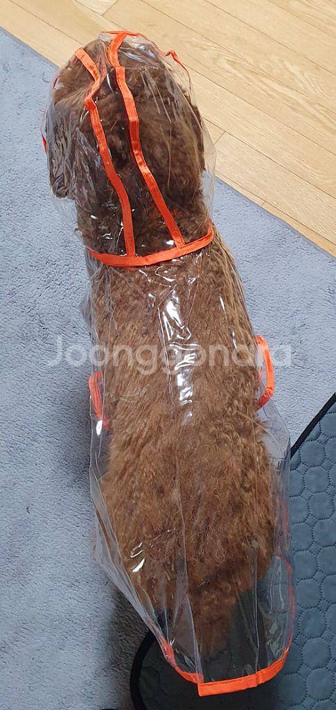 7 - 9 kg 강아지우비 애견옷--3