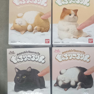 반다이 테노리프렌즈 손바닥친구들 신상 고양이