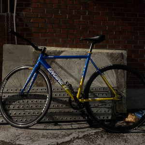 엔진11 볼텍스2023 사이즈M 판/대