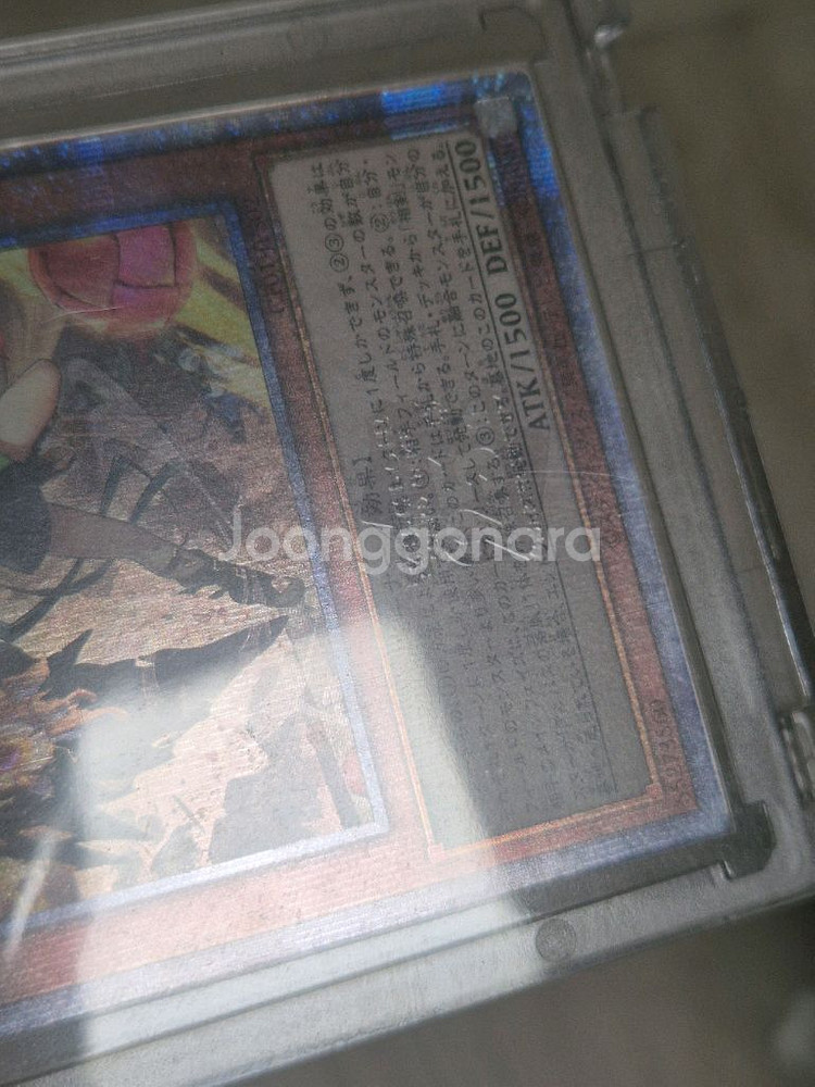 순백의 성녀 에클레시아 쿼센 일판--1