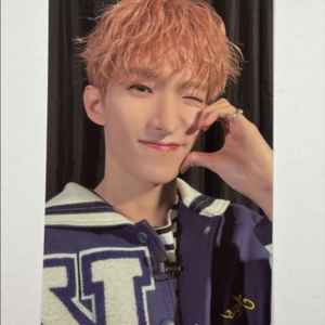 세븐틴 캐럿랜드 캐랜 메모리북 도겸 포카