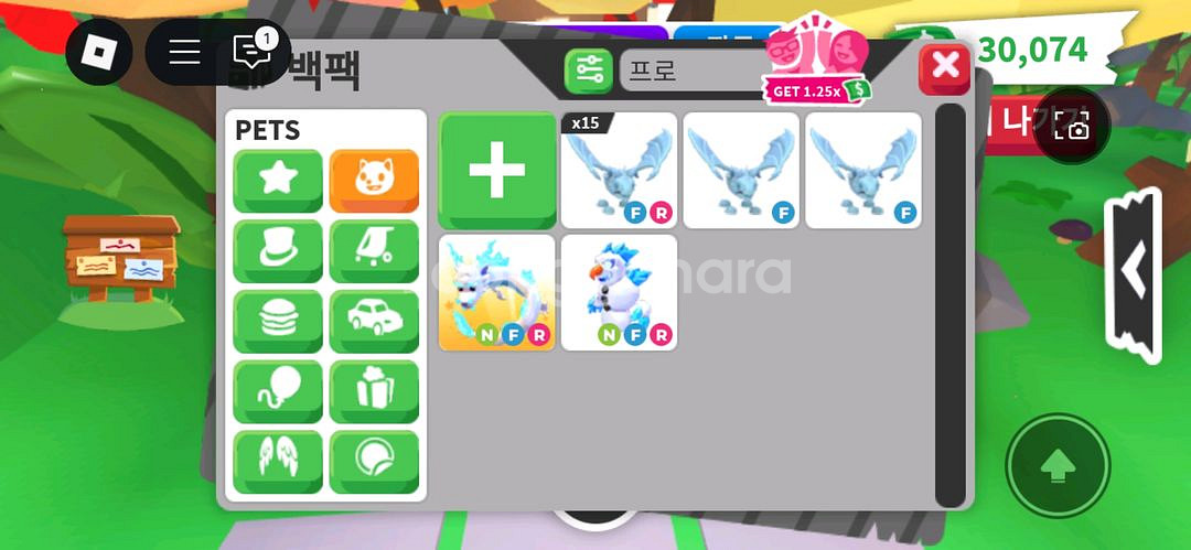 입양하세요 얼드--0
