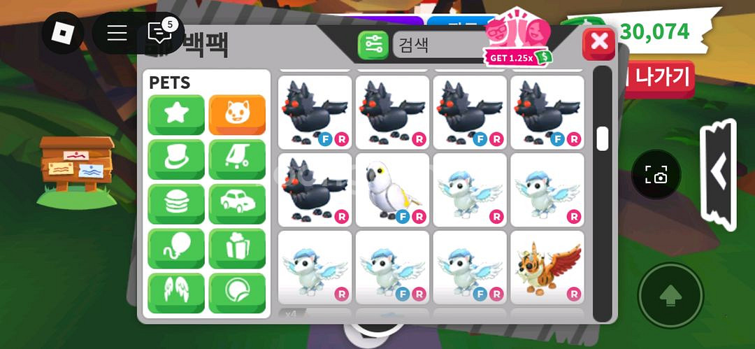 입양하세요 희귀펫--3