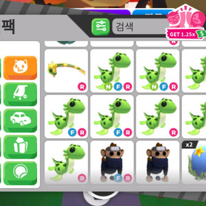 입양하세요 희귀펫