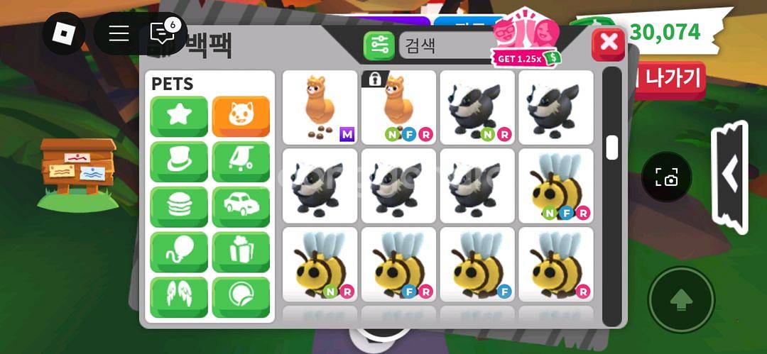 입양하세요 희귀펫--4