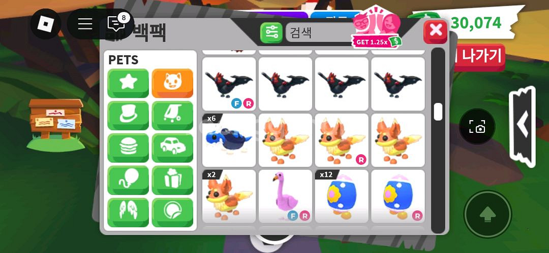 입양하세요 희귀펫--5