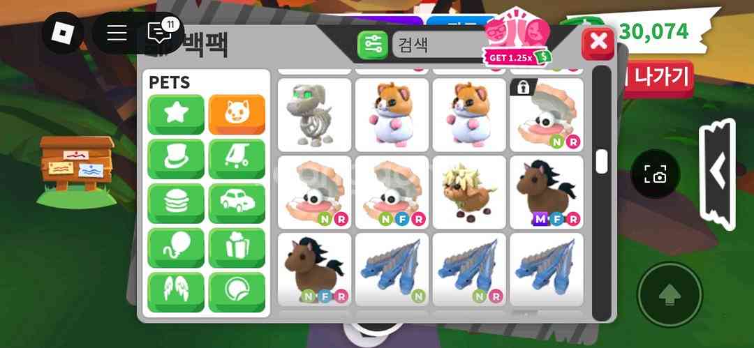 입양하세요 희귀펫--7