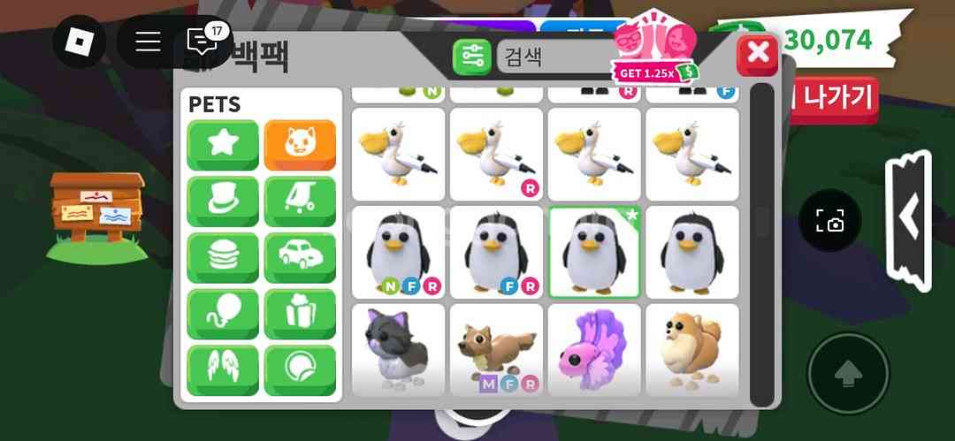 입양하세요 희귀펫--9