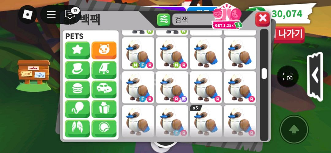 입양하세요 희귀펫--8