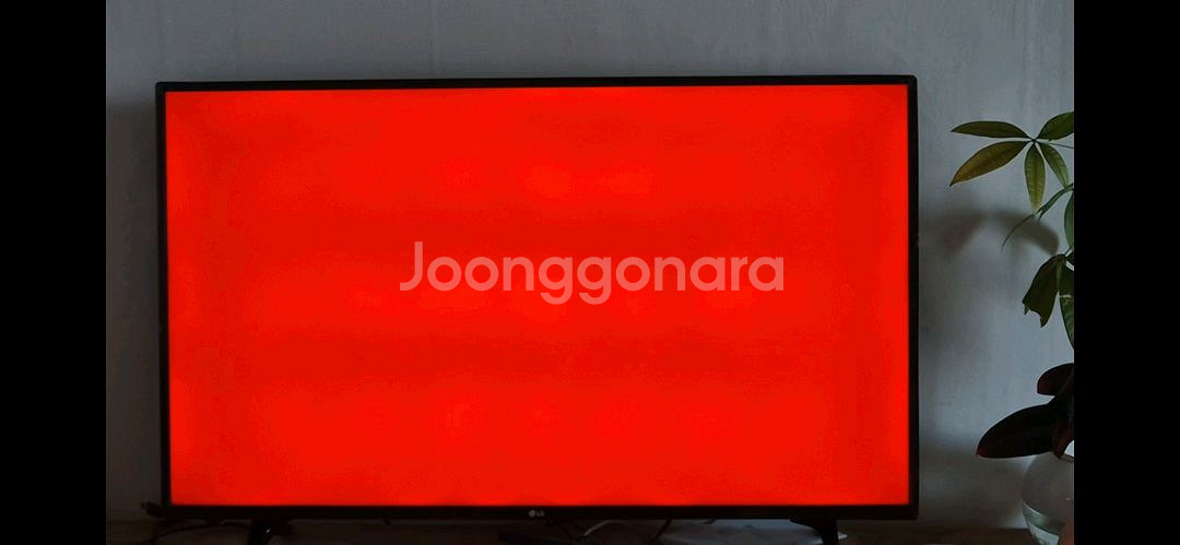 LG 43인치 LED TV--4