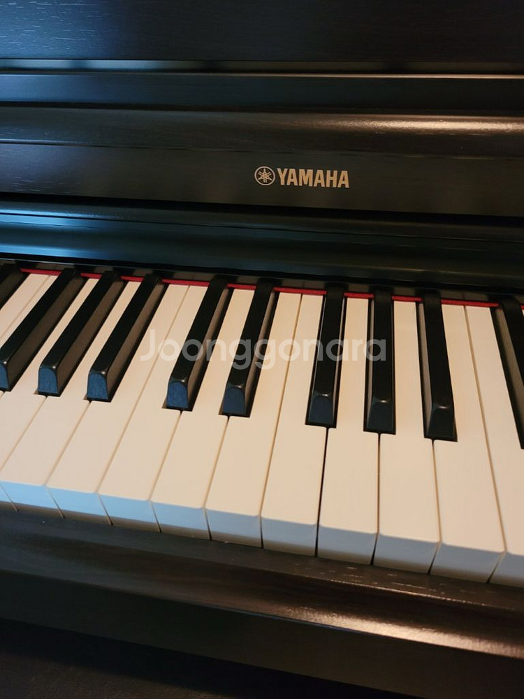 Yamaha(야마하) 디지털 피아노 YDP-164--1