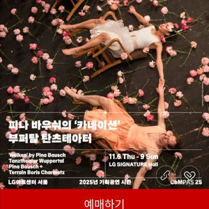 피나바우쉬 카네이션 공연 티켓