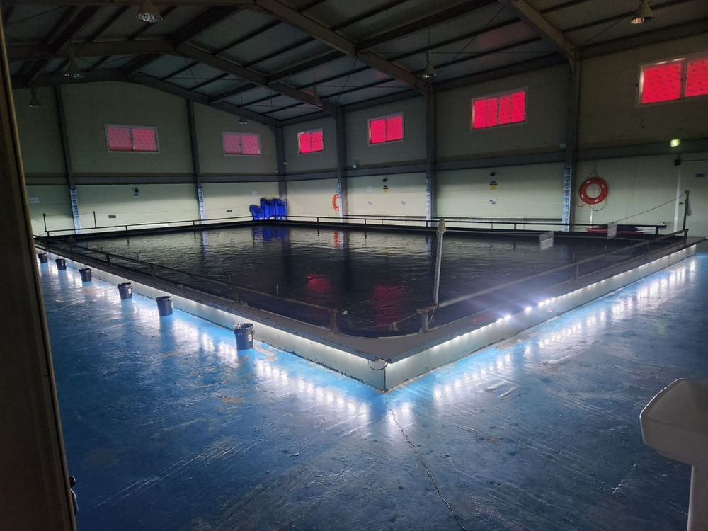 실내바다낚시터매매 이미지