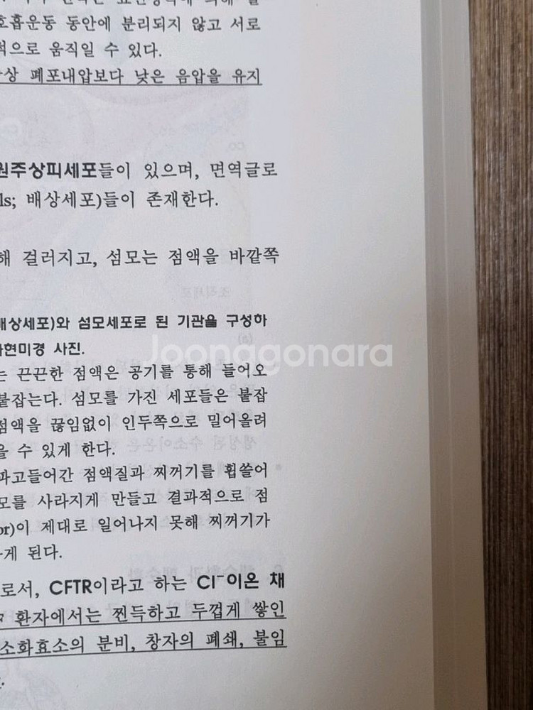 이영렬 의약대 편입생물 생리학(하)--2