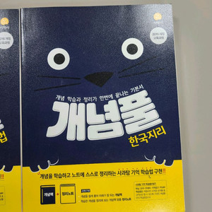 개념풀 한국지리/정치와법/사회문화 새책